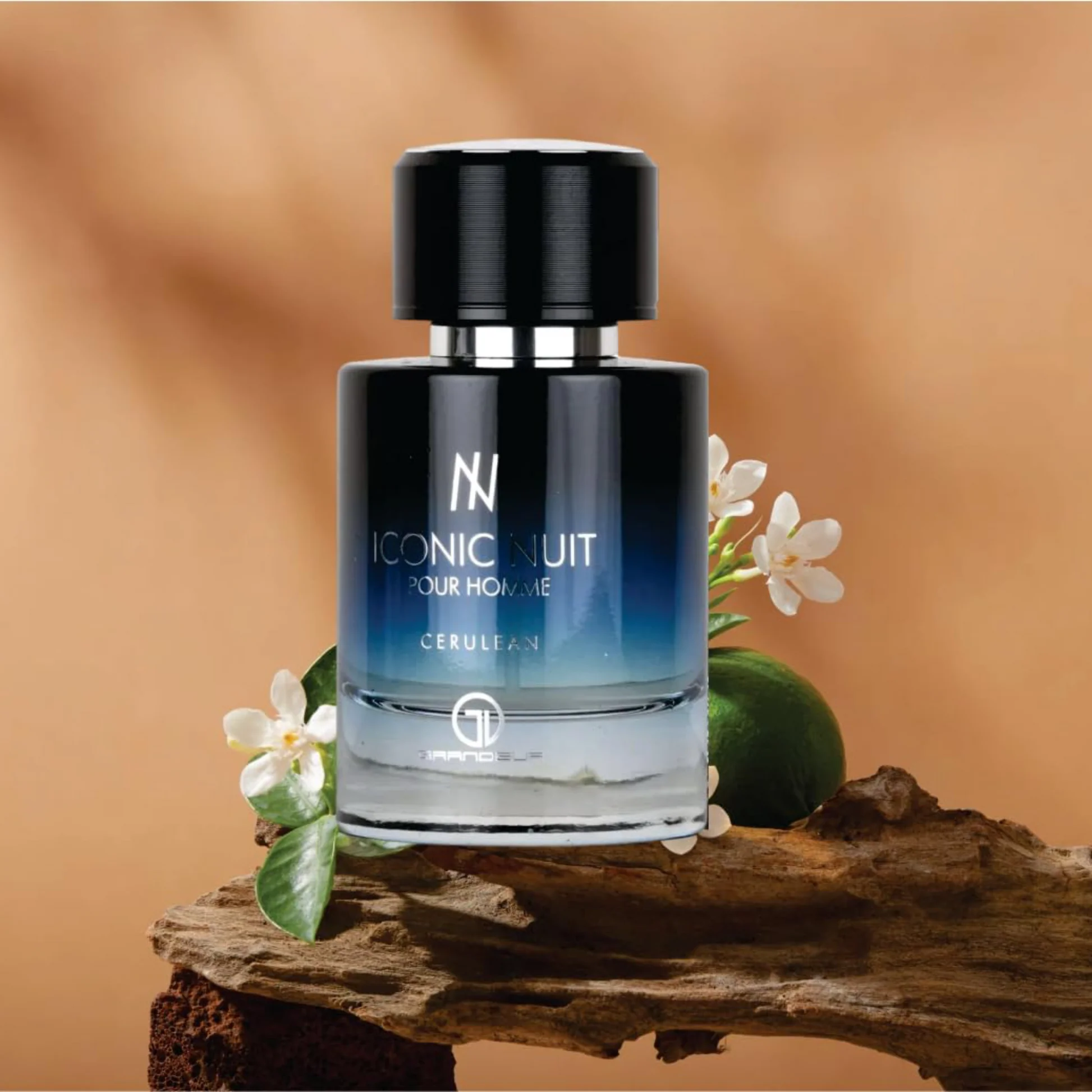 Grandeur<br>ICONIC NUIT - Image 3