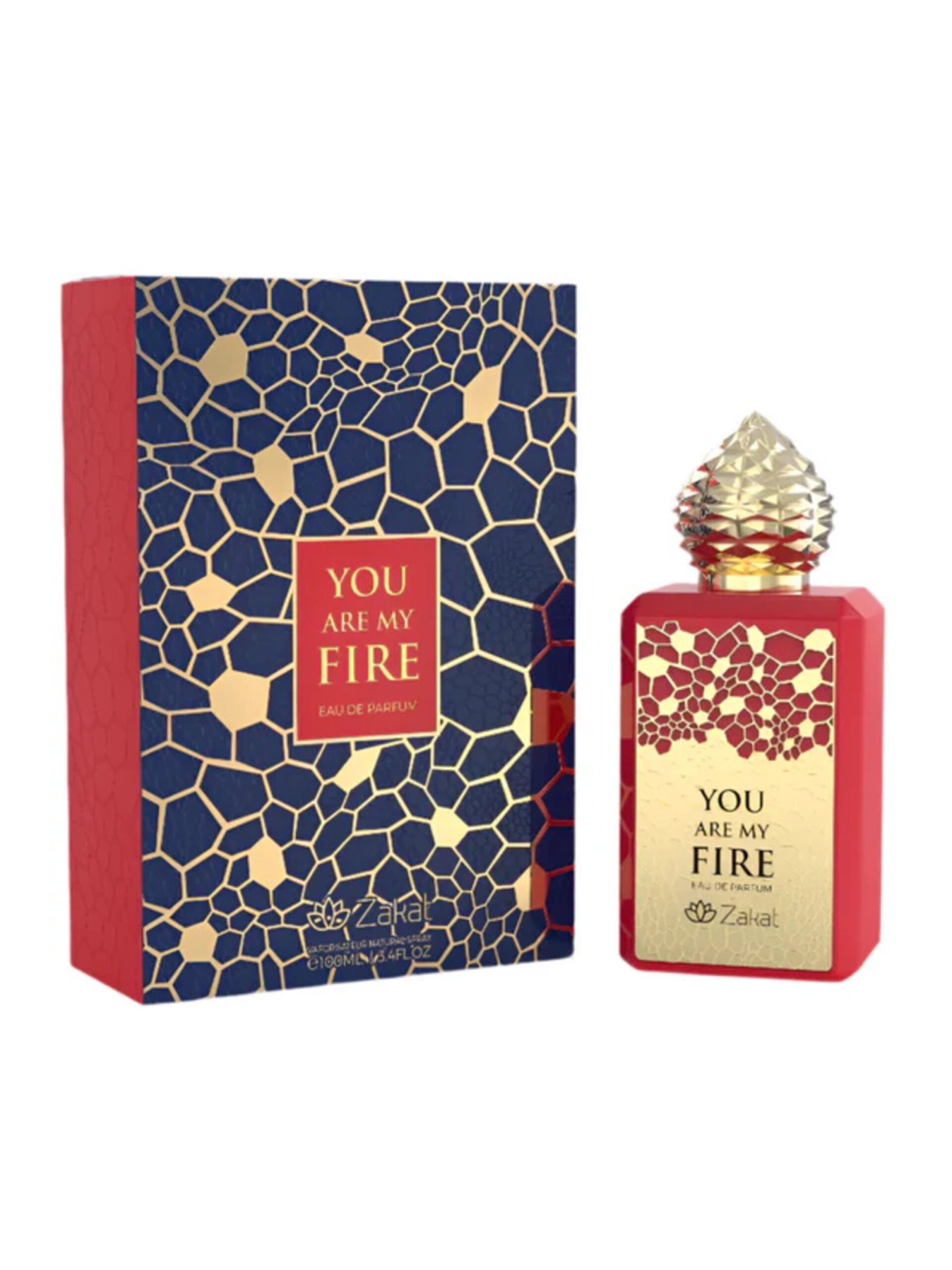 Zakat<br>YOU ARE MY FIRE ROUGE - Image 2