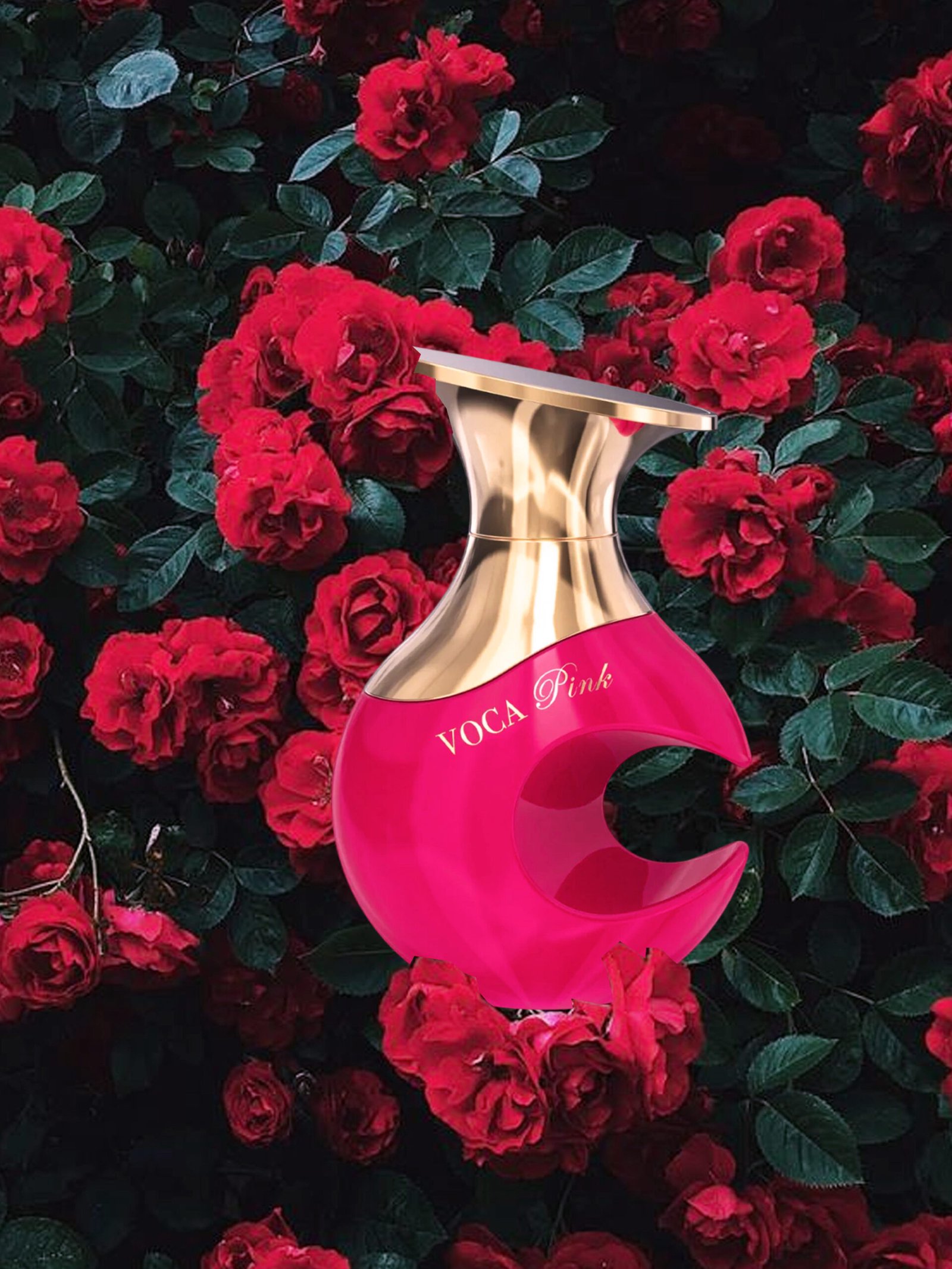 Amaran<br>VOCA PINK - Image 3