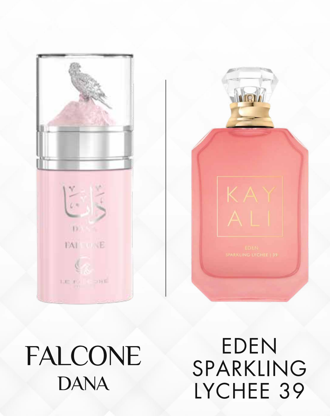 LE FALCONE<br>DANA - Image 4