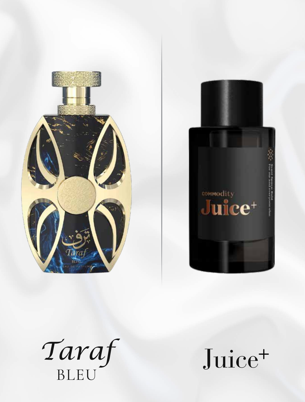 Amaran<br>TARAF BLEU - Image 4